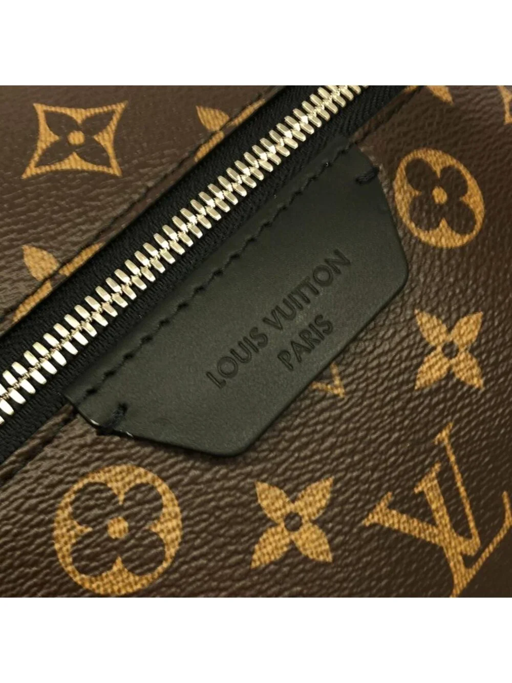 Louis Vuitton Monogram Macassar Discovery Backpack